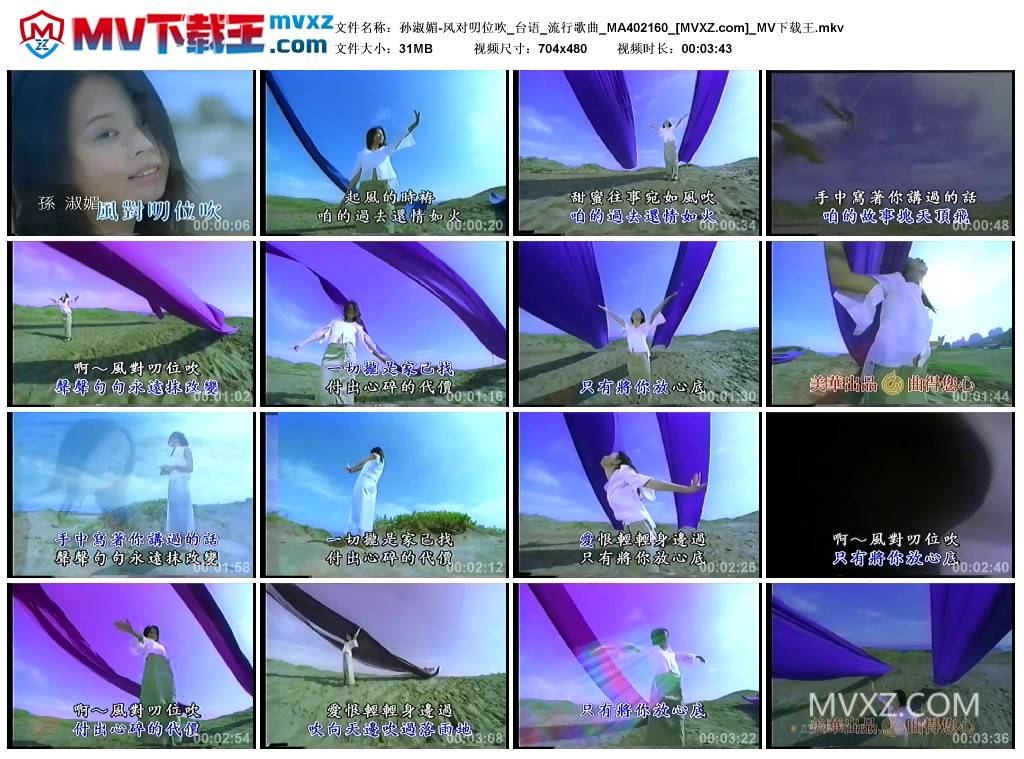 孙淑媚-风对叨位吹_台语_流行歌曲_MA402160